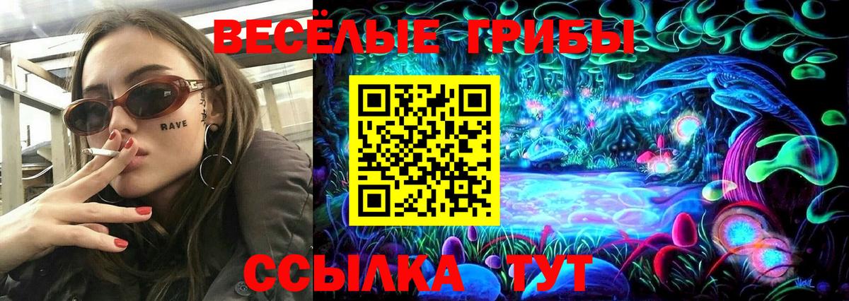 Галлюциногенные грибы GOLDEN TEACHER Ачинск
